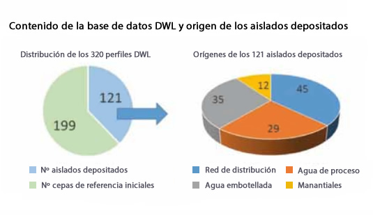 Base de datos identificar cepas bacterianas aguas de consumo 
