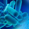 legionella