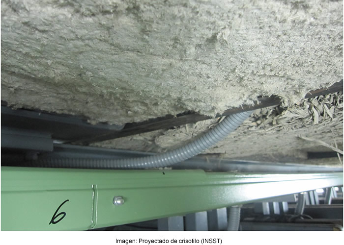 Prevención de exposición al amianto en el control de plagas