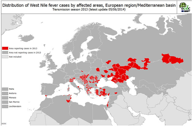virus nilo occidental