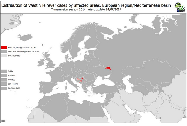 virus nilo occidental