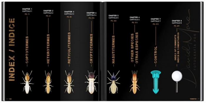 660 Fotografías sobre las termitas y su control