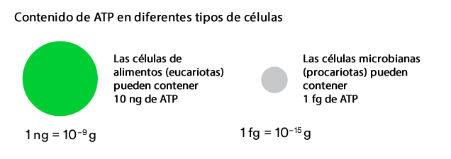Bioluminiscencia: el control rápido de la higiene en la industria alimentaria 