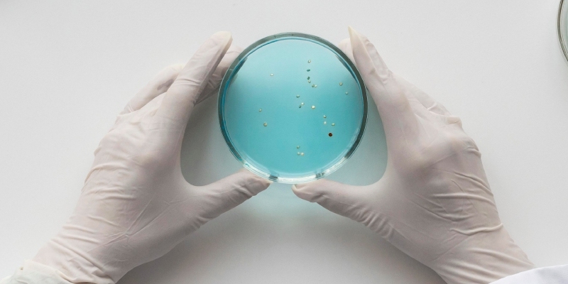 clostridium perfringens