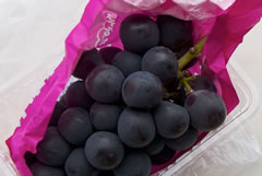 seguridad alimentaria