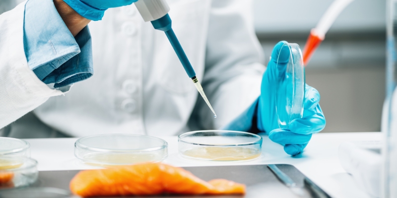 criterios microbiologicos