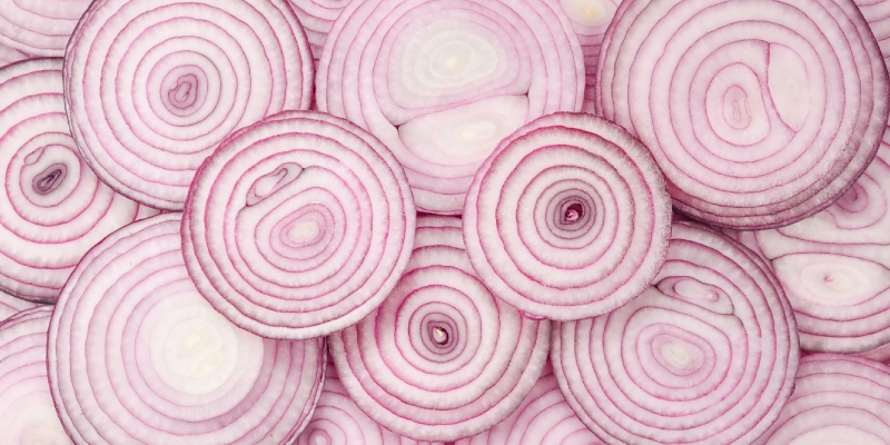 seguridad microbiologica