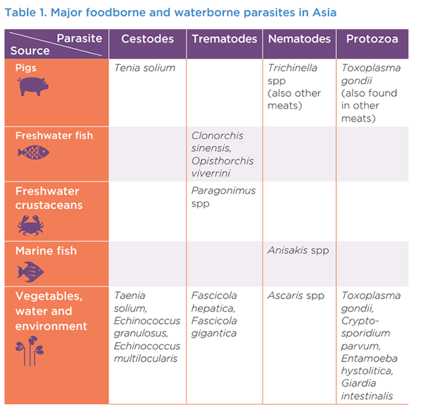 parasitos transmitidos por alimentos