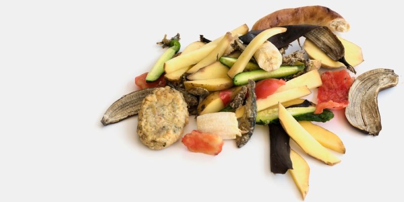 desperdicio alimentario