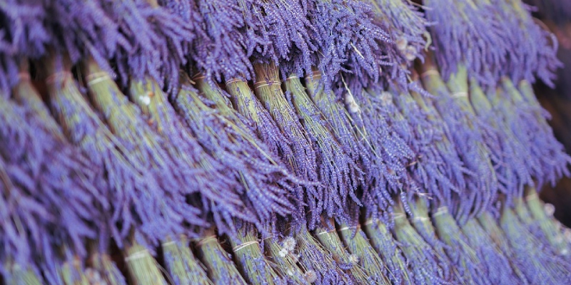 tratamiento de la madera