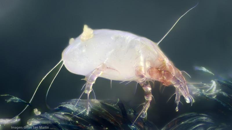 calidad aire interior