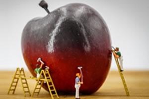 seguridad alimentaria