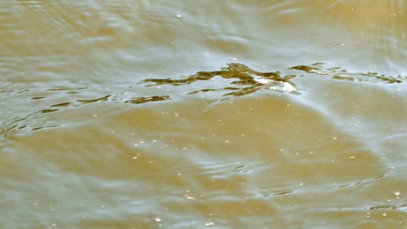 tratamiento del agua