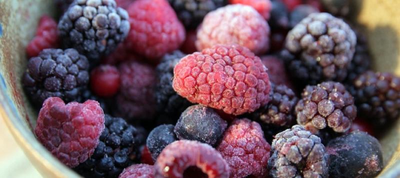 virus transmitidos por los alimentos