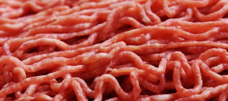 seguridad alimentaria