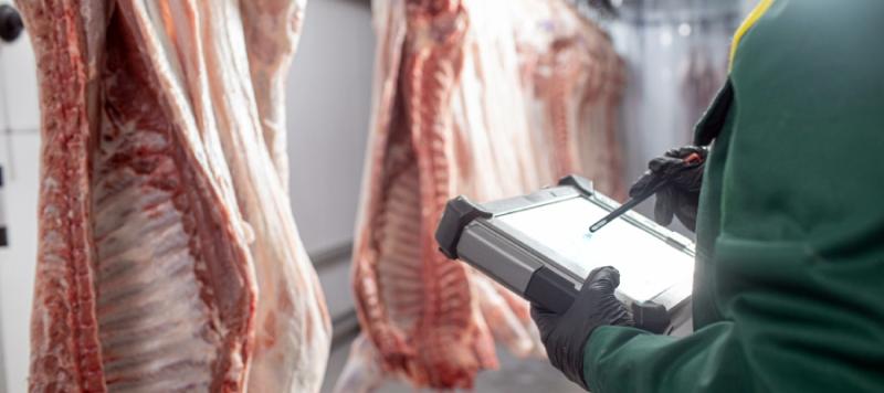 seguridad alimentaria