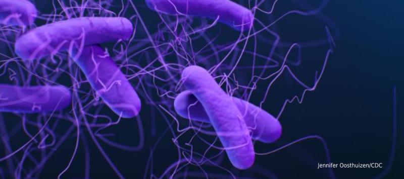 Clostridioides difficile