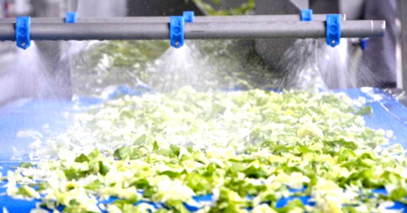 seguridad alimentaria