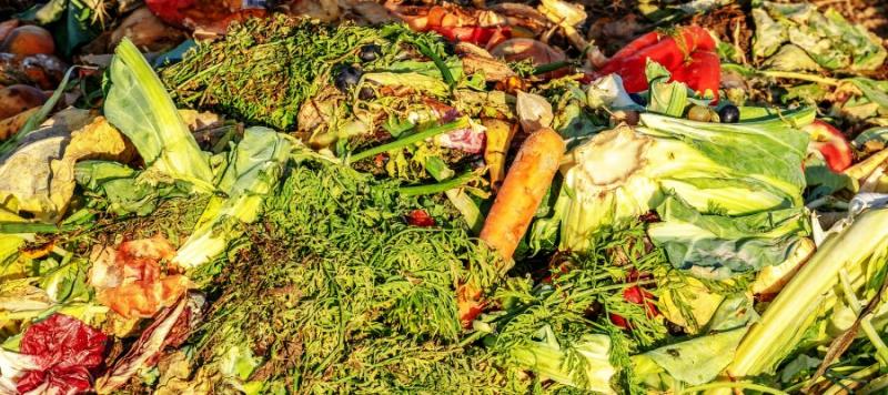 desperdicio alimentario