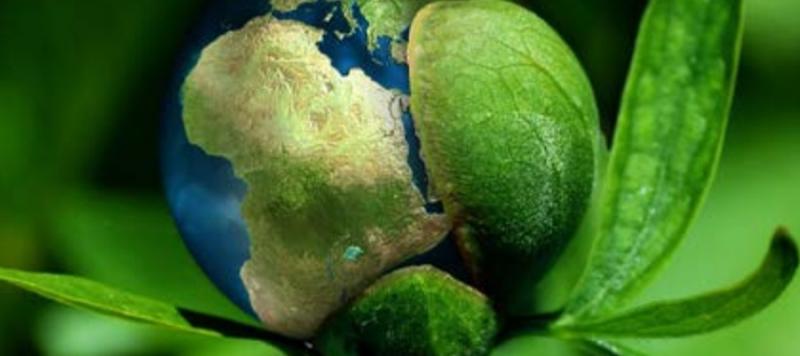 sostenibilidad alimentaria