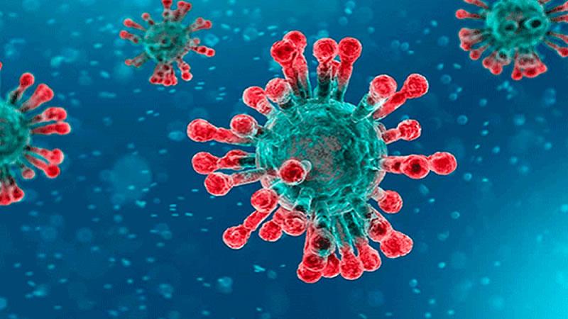 seguridad alimentaria