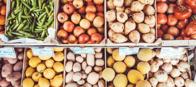 desperdicio alimentario