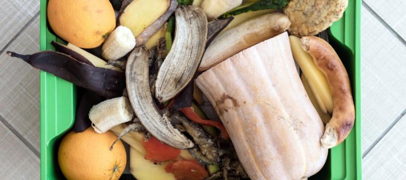 desperdicio alimentario