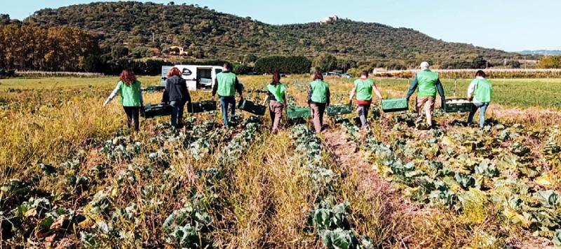seguridad alimentaria