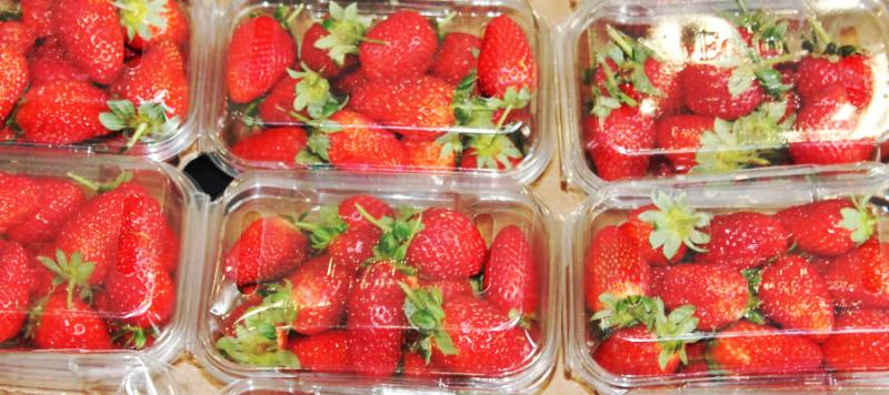 seguridad alimentaria