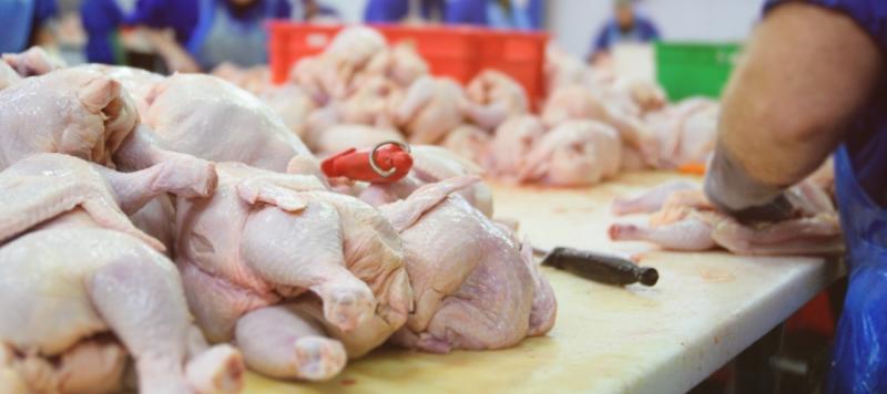 seguridad alimentaria