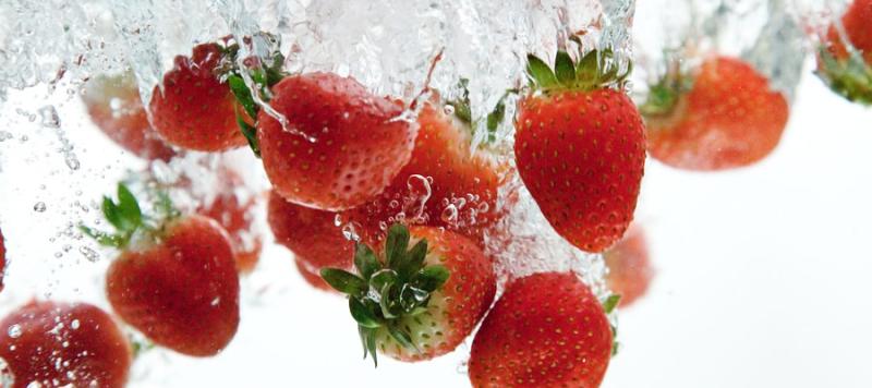 seguridad alimentaria