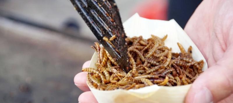 seguridad alimentaria