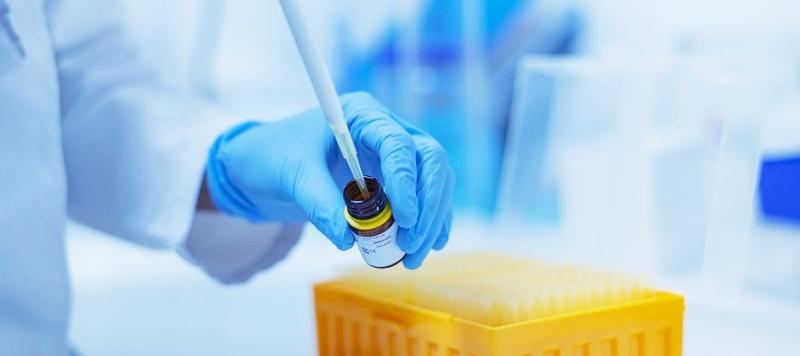 microbiologia alimentaria