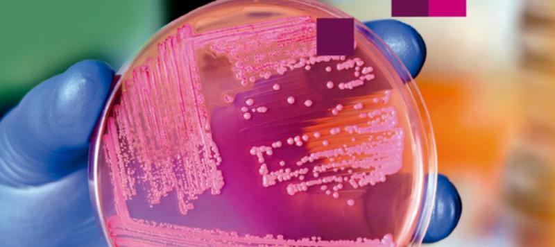 microbiologia alimentaria