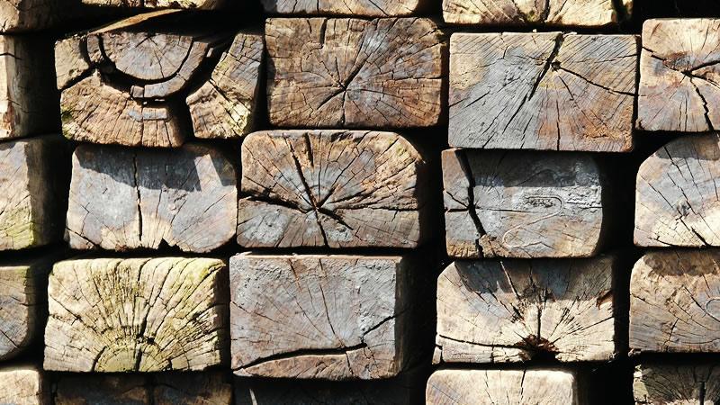 tratamiento de la madera