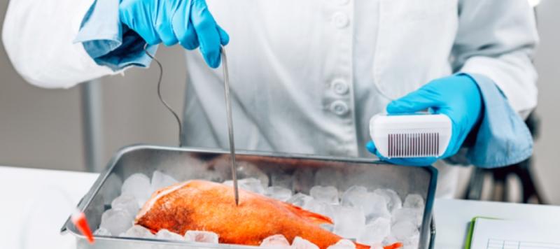 seguridad alimentaria