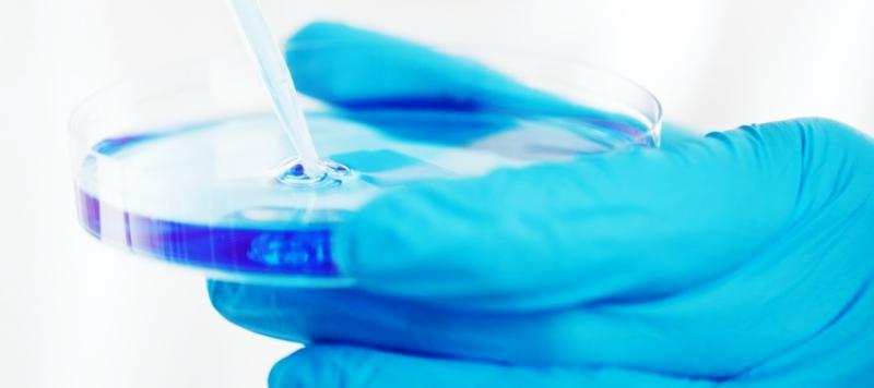 seguridad alimentaria