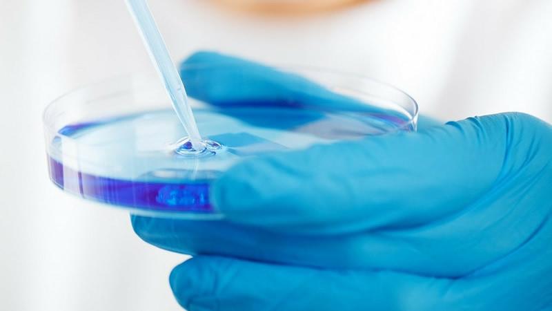 microbiologia alimentaria