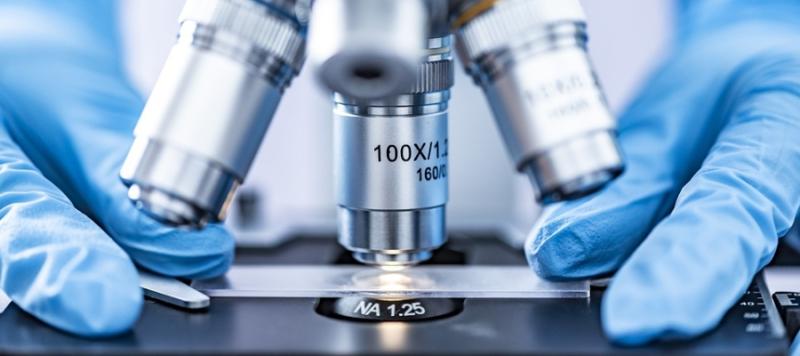 microbiologia alimentaria