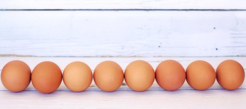 seguridad alimentaria