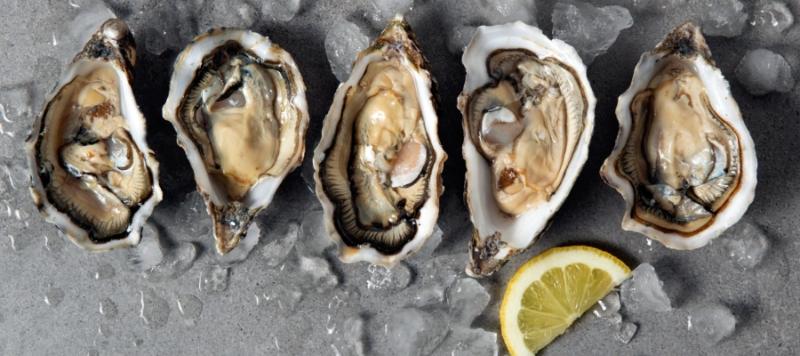 seguridad alimentaria