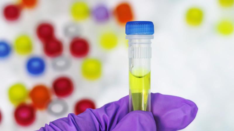 microbiologia alimentaria