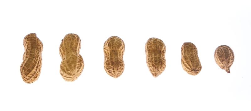 alérgenos alimentarios