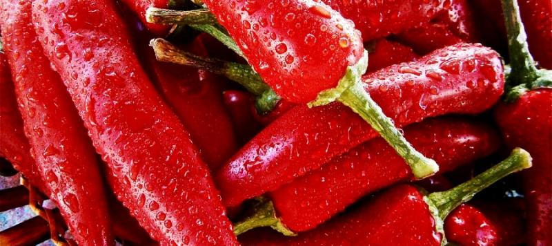 coadyuvantes tecnológicos