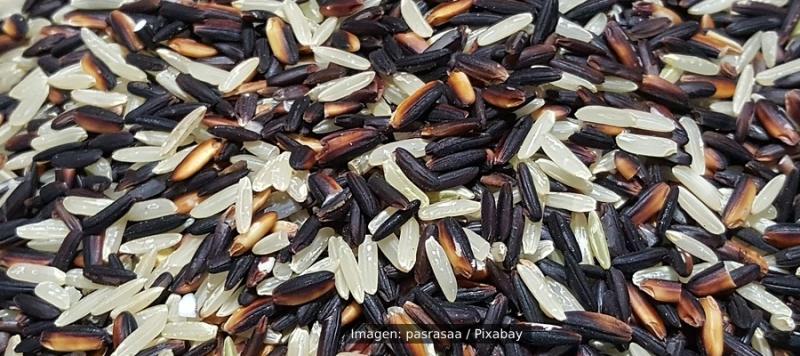 seguridad alimentaria