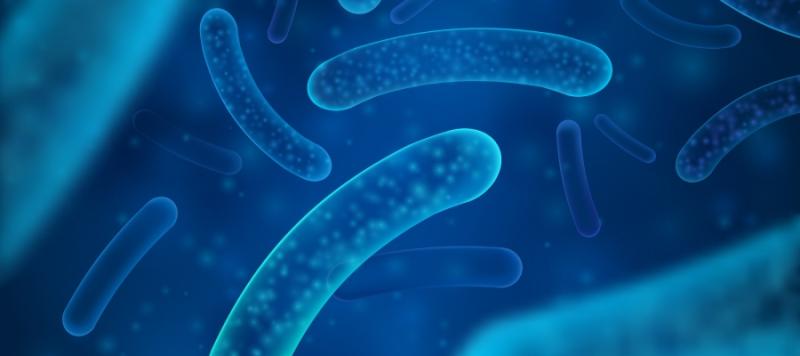 plan sanitario del agua