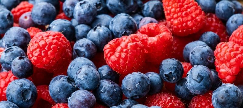 seguridad alimentaria