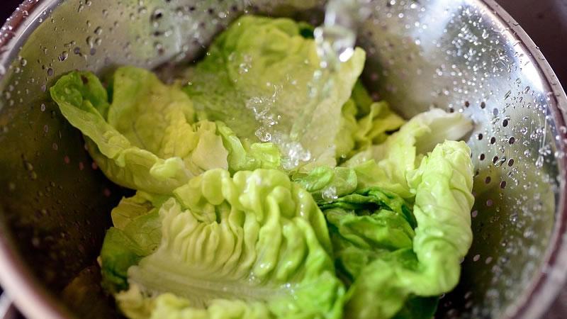 seguridad alimentaria