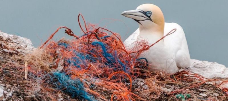 contaminacion plasticos