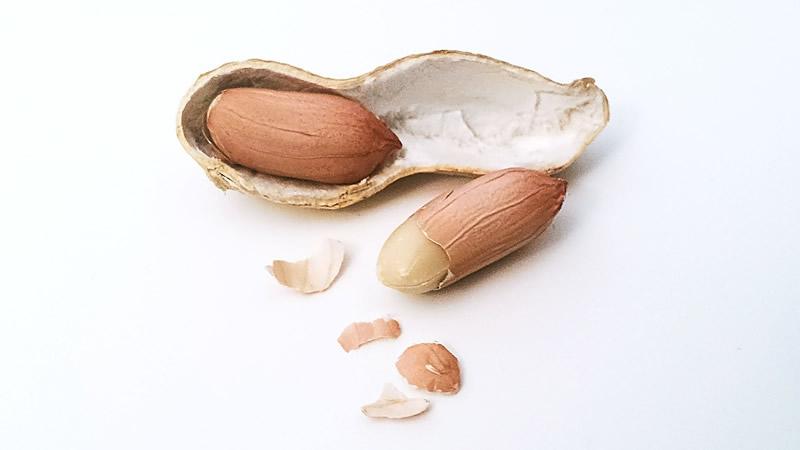 seguridad alimentaria